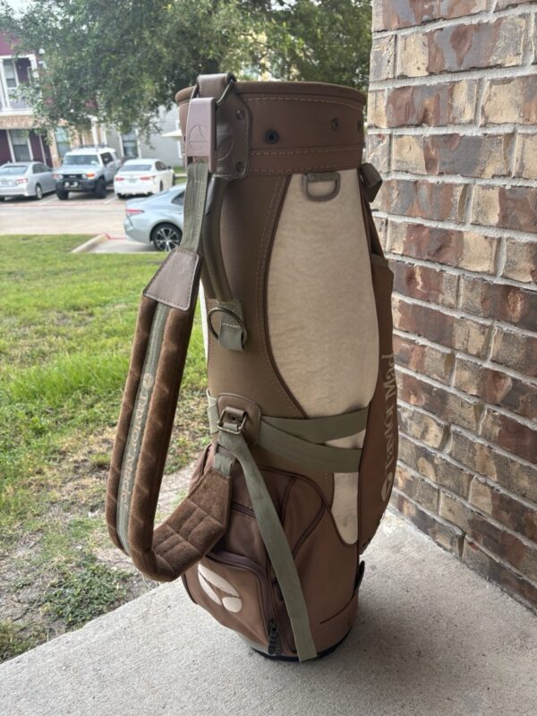 s-l1600-273 TaylorMade Burner Bubble Vintage Staff Golf Bag